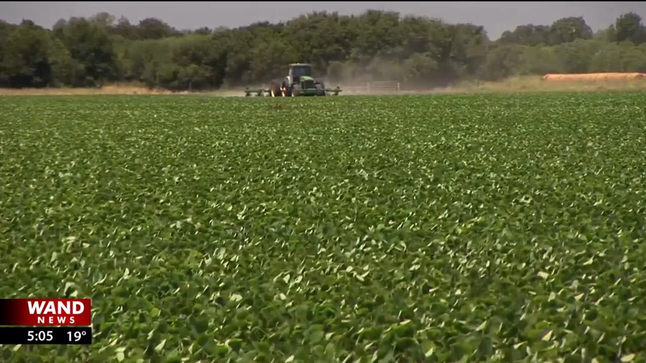 Some farmers may not survive policy changes in D.C.